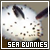 Sea Bunnies fanlisting